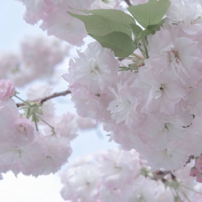 Furry绘画质感灵感Furry群